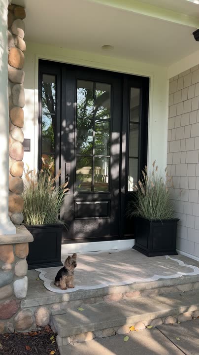 Reel by @making_highview_home: Tall black front door with glass panes and sidelights between black planters on a stone entry.