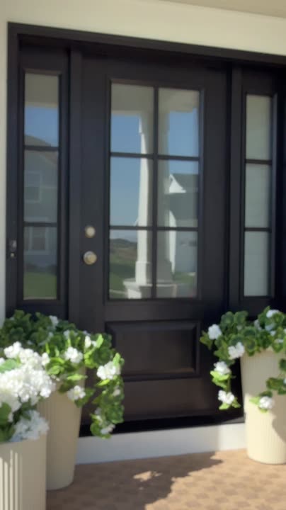 Reel by @NeutralCatt: Dark espresso front door with six glass panes and sidelights, white planters with hydrangeas either side.