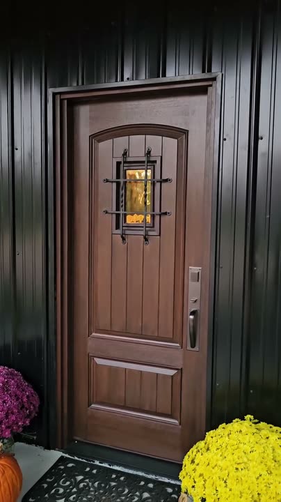 Reel by @savedbydesign.tn: Pecan-stained arched two-panel door with a speakeasy grille, seen through the open doorway.